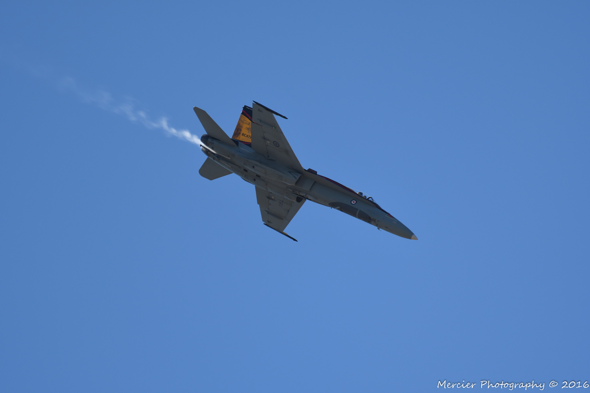 D50 2653